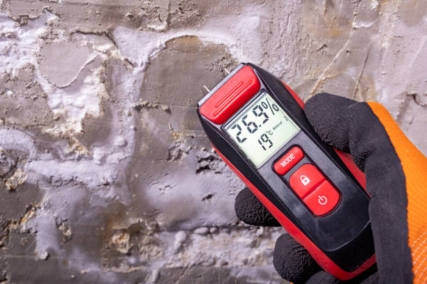 Best Black Mold Removal  in Fairfield Glade, TN
