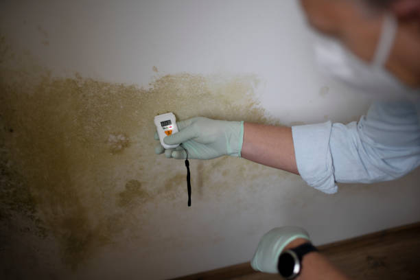 Water Damage Restoration in Fairfield Glade, TN
