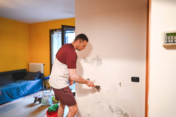 Best Same-Day Mold Removal  in Fairfield Glade, TN